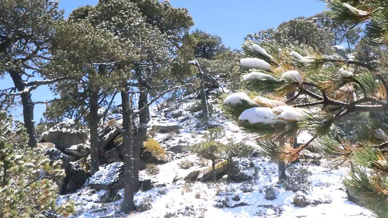 Nevada en el Cofre de Perote